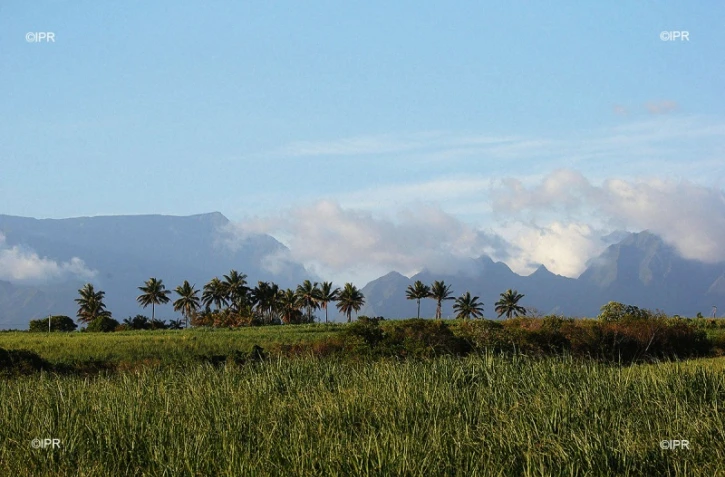 météo réunion