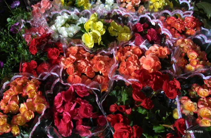 fleurs et jardins