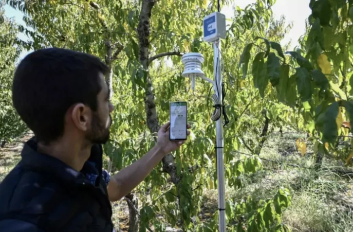 Sotiris Mournos, agriculteur utilisant les technologies connectées sur son exploitation, à Platy (Grèce) le 18 octobre 2022 ( AFP / Sakis MITROLIDIS )