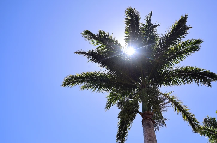 météo réunion