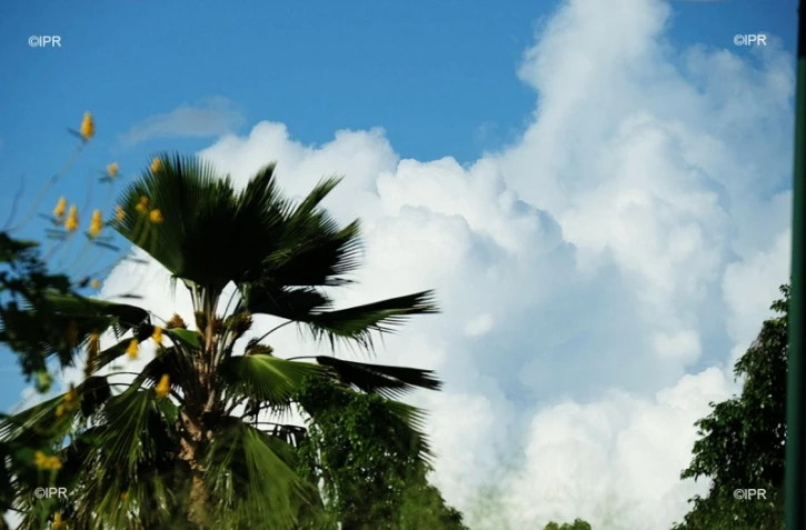 météo réunion