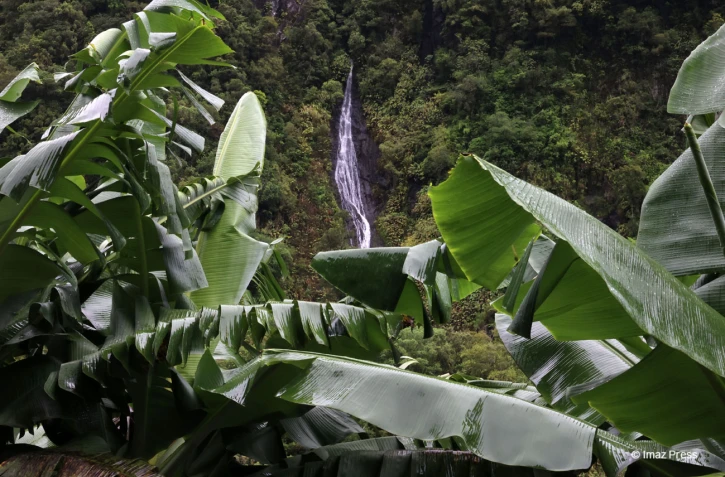 Cascade route de Salazie