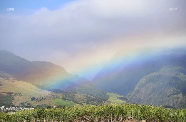 météo réunion