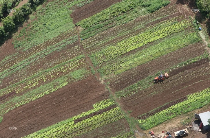 Agriculture