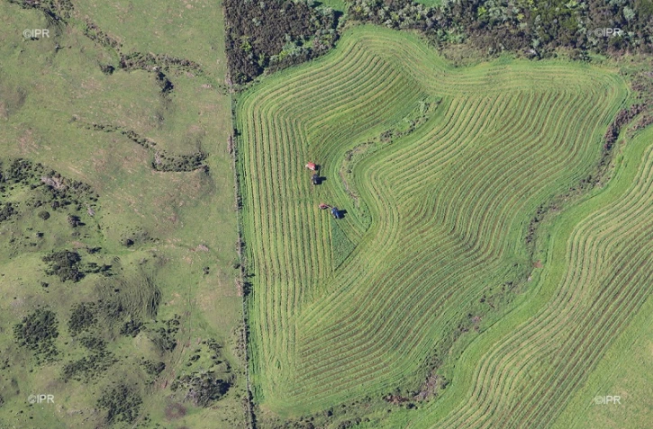 agriculture
