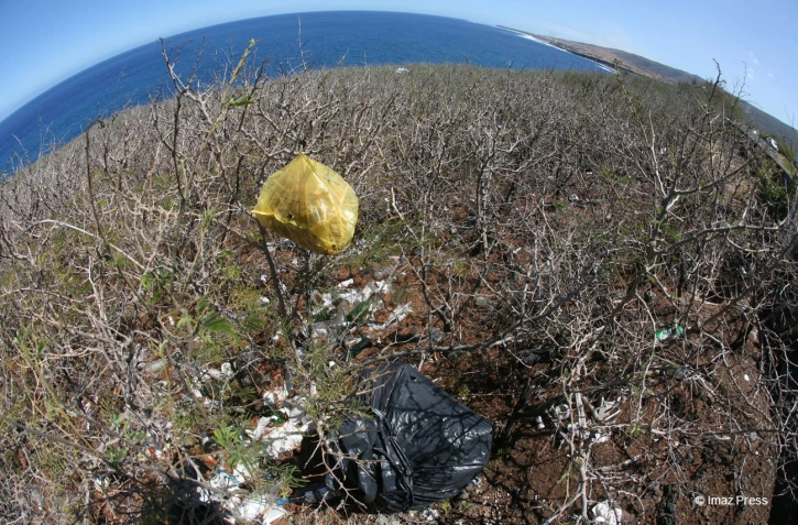 Déchets plastiques