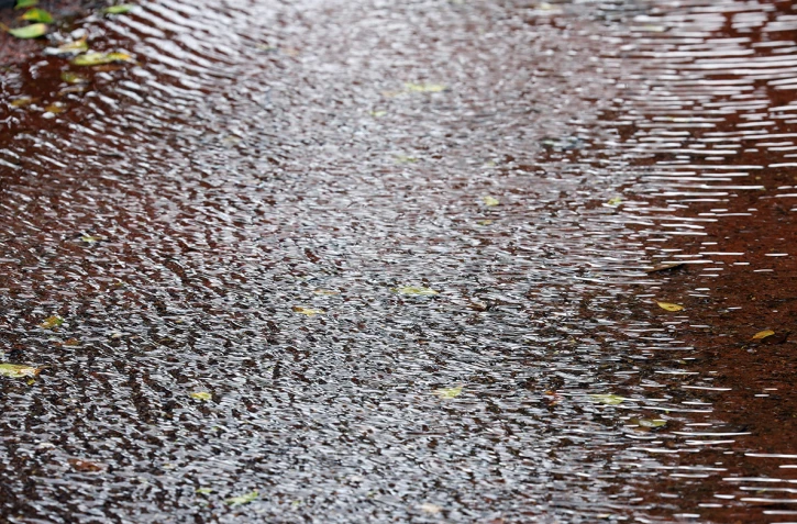 météo réunion