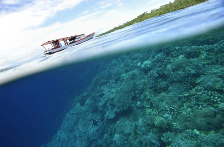 Climat: le Giec publie son diagnostic et son ordonnance