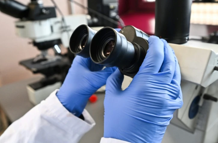 Robots-lucioles, fourmis renifleuses de cancer: quand la nature nous vient en aide de manière inattendue