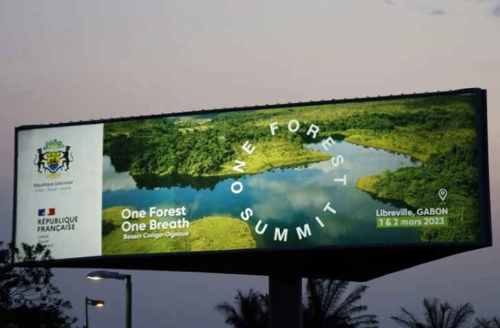 Le sommet One Forest pour protéger les forêts tropicales s'ouvre au Gabon