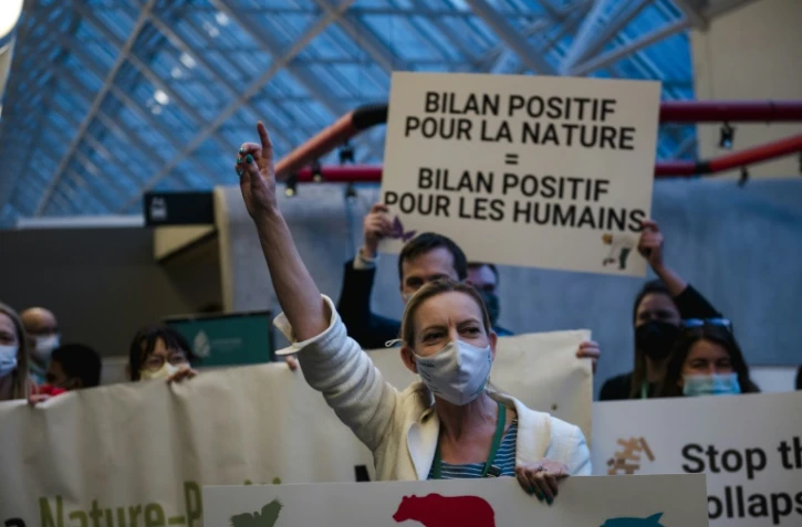 COP15 Biodiversité: les défenseurs de l'environnement craignent que l'accord final soit inopérant