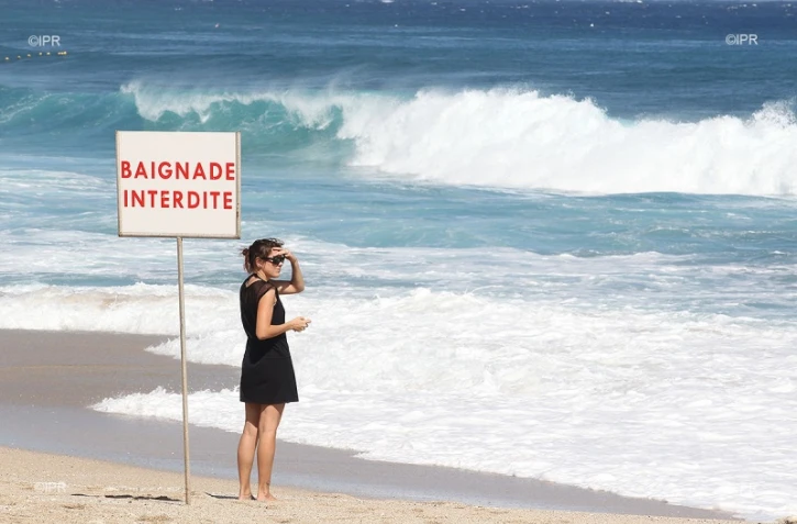 panneaux requins baignade interdite