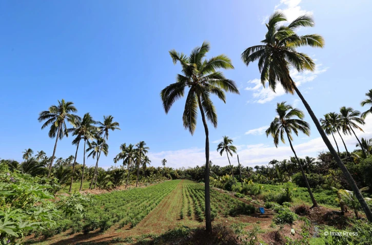 météo réunion