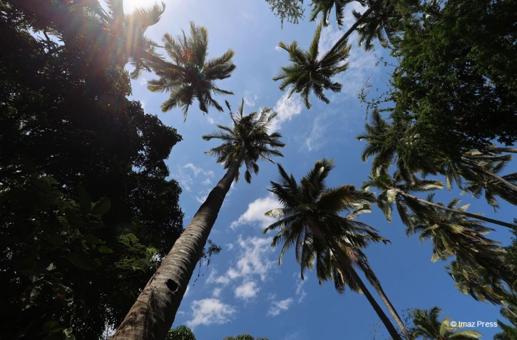 météo réunion