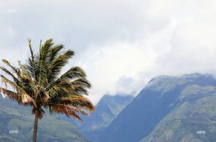 météo réunion