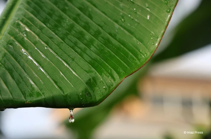 Goutte d'eau et pluie