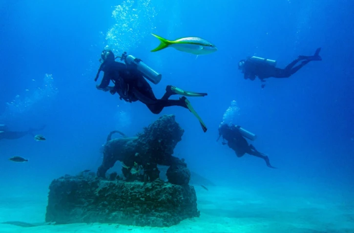 Au large de la Floride, un cimetière sous-marin utile à la faune aquatique