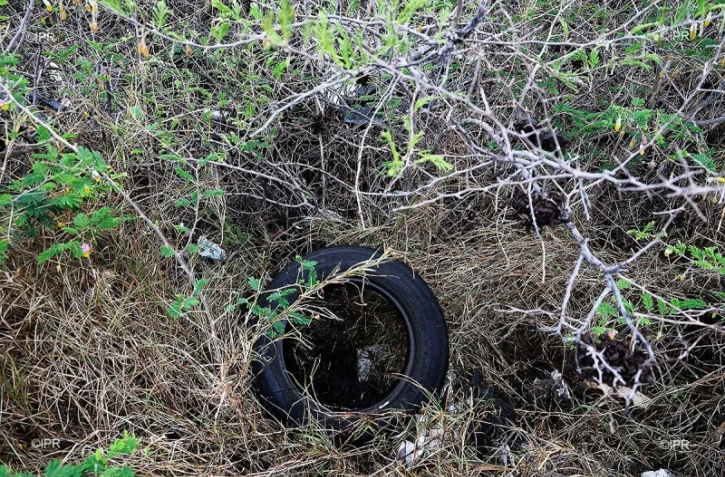Déchets