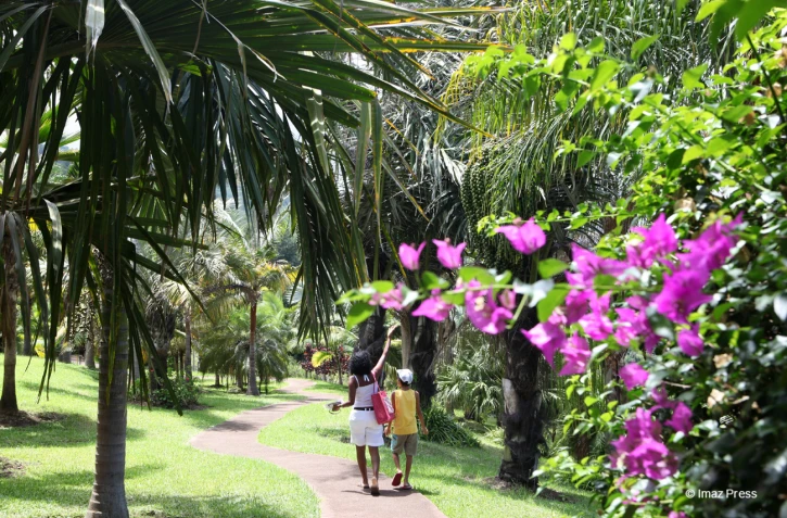 fleurs et jardins
