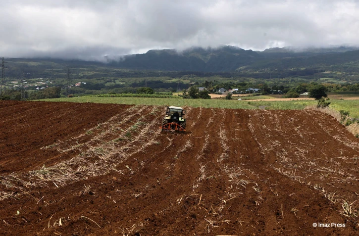 agriculture