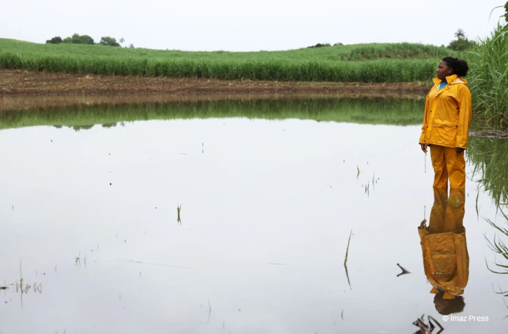 Des agriculteurs impactés par les fortes intempéries dans l'est