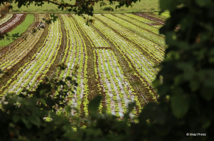 agriculture