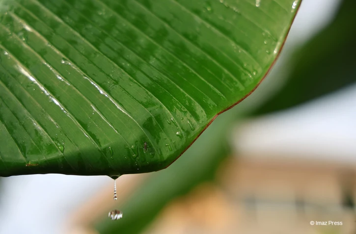 Goutte d'eau et pluie
