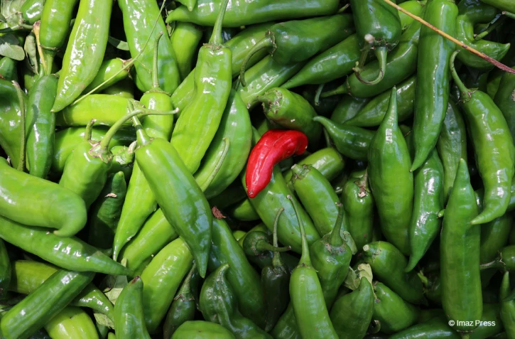 Gros piments